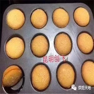 從入門到創(chuàng)業(yè) 網(wǎng)紅西點蛋糕學習指南與甜味烘焙產(chǎn)品進階之路